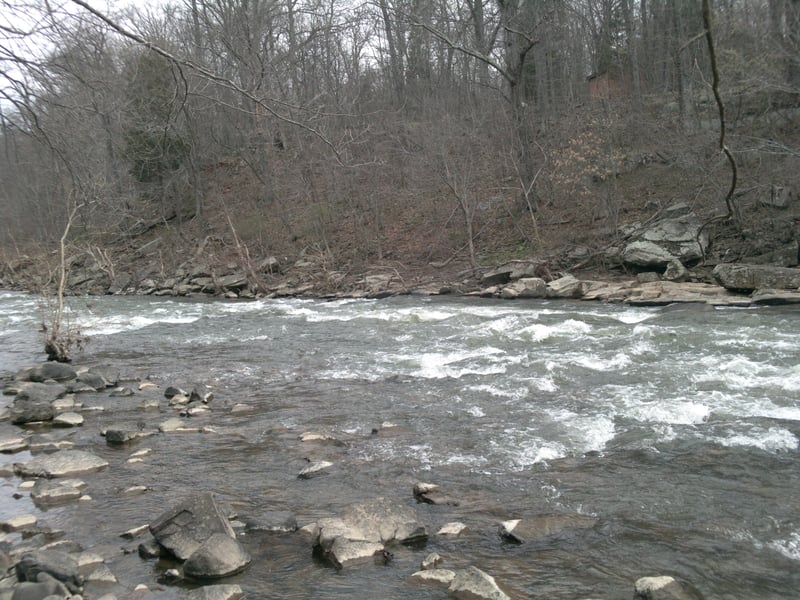 Golf Course Rapid Bottom