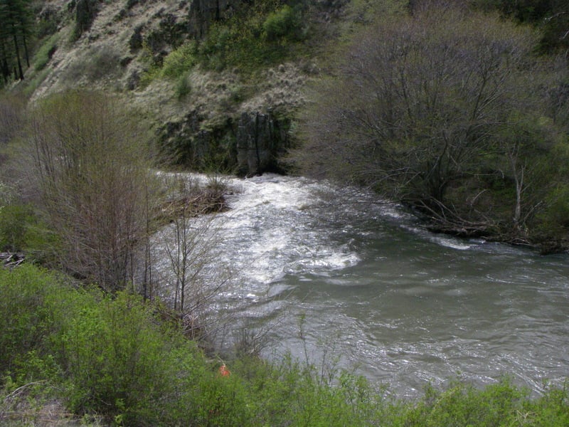 Class-III+ Rapid on Joseph Creek