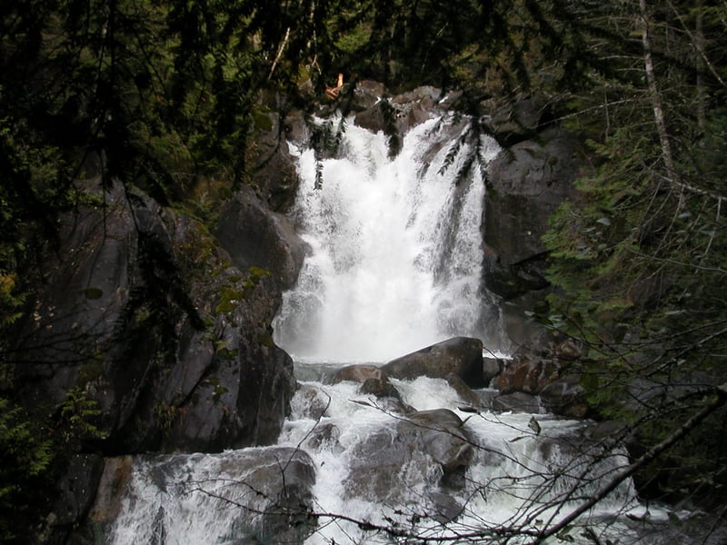 Upper Dingford Creek
