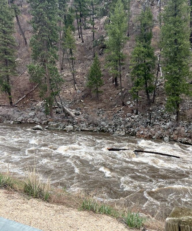 Wood in dolly below Seymour’s 
