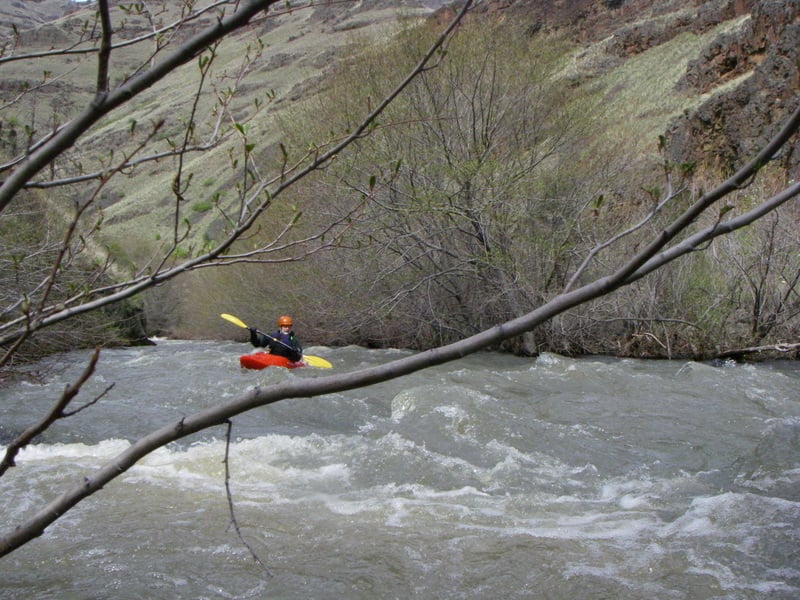 Class-II Rapid on Joseph Creek