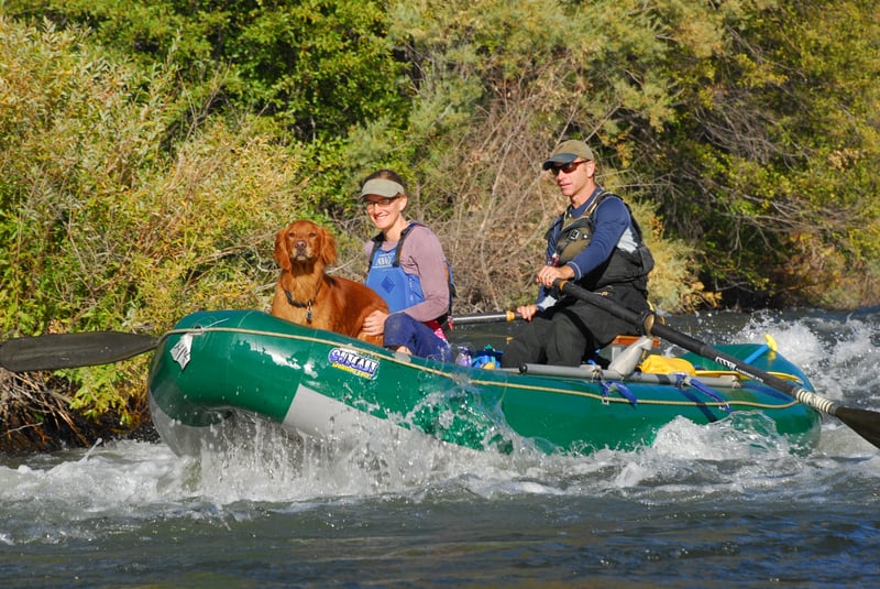 Pit River Rapid