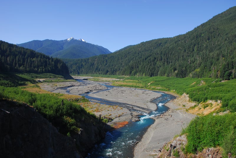 Glines Canyon Dam overlook