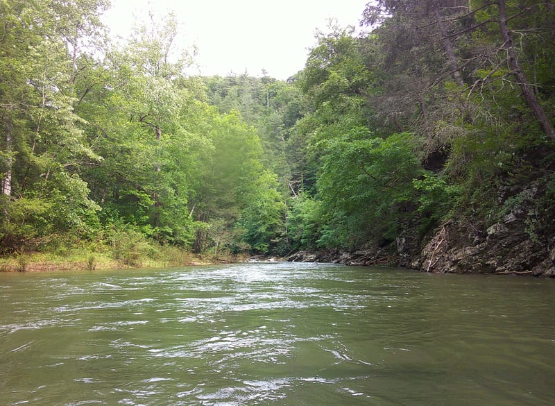 Sideling Hill Creek 6-1-2025