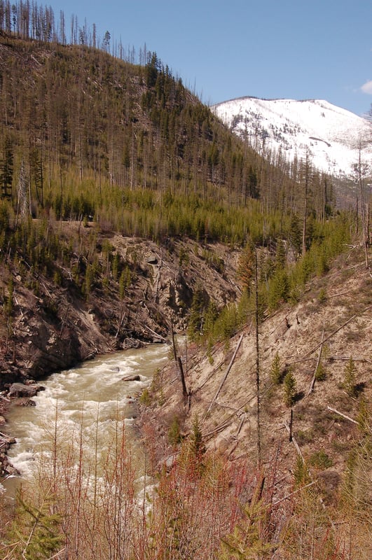 NF Blackfoot Near the Takeout