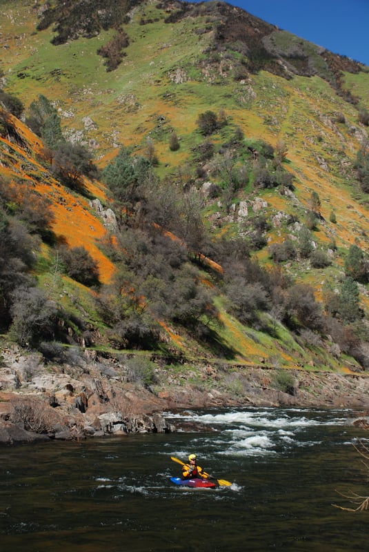 Merced River in Spring