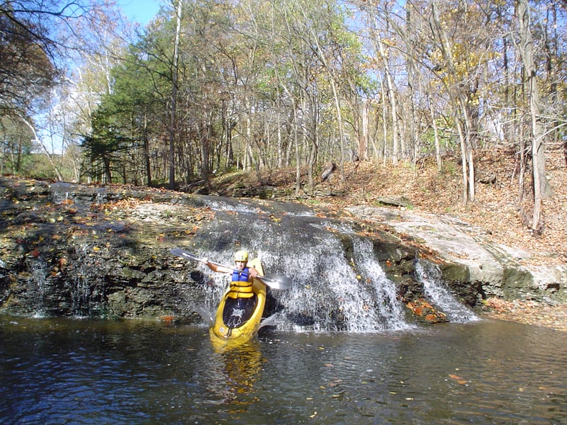 Mark diving in