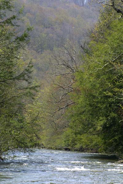 River scenery at the end of the section