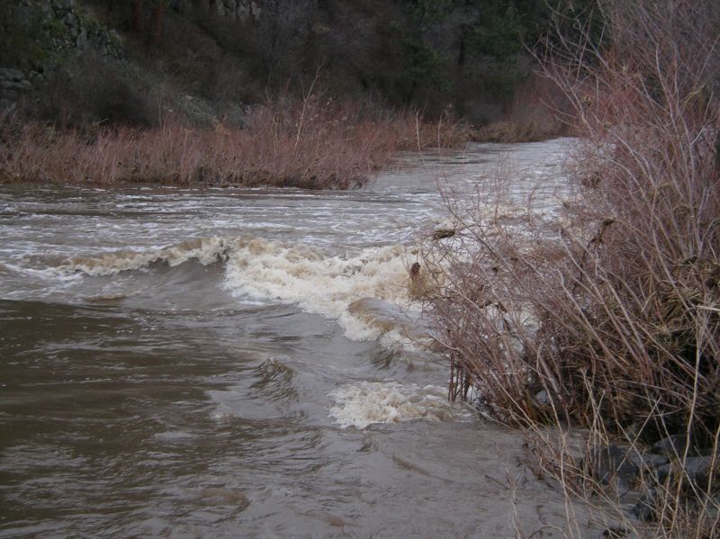 Flour Power Wave at 5.5 ft