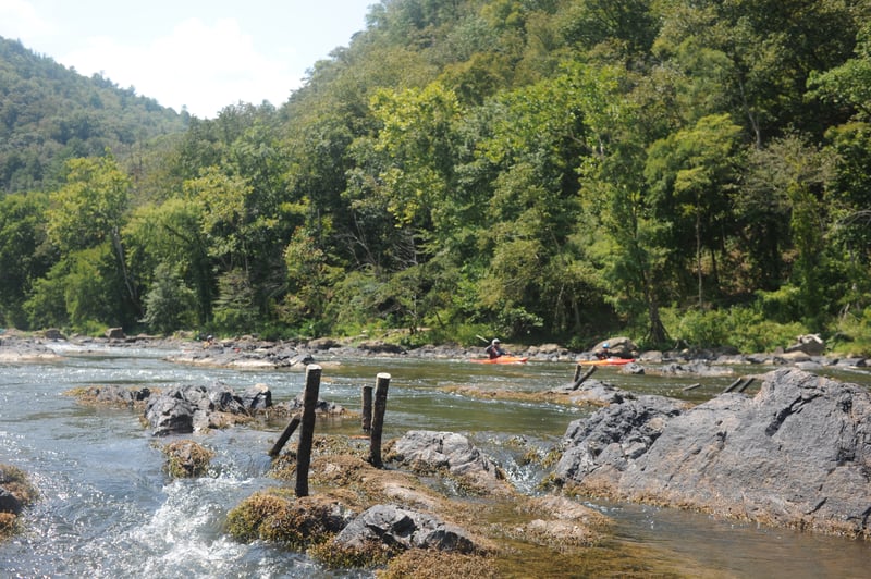 Rebar in Rebar Rapid