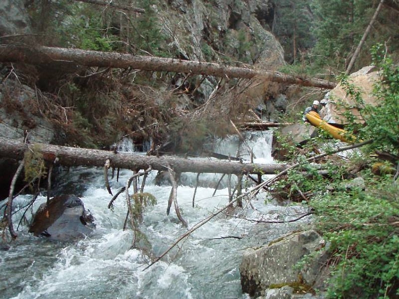 Wood in Elk Creek last gorge