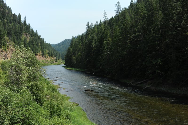 St. Joe River downstream of Avery