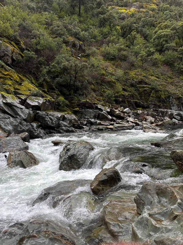 Bogus thunder - 600 (?) cfs