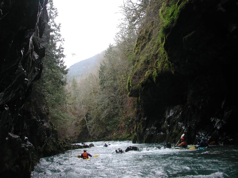 Lower Dosewallips Gorge