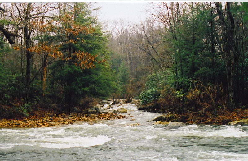 Laurel Hill Creek-Whipkey dam to covered bridge