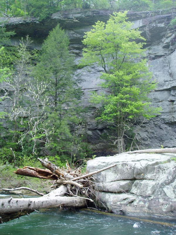Bluff above strainer