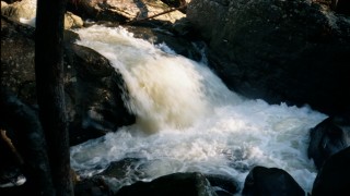 Cul-de-sac