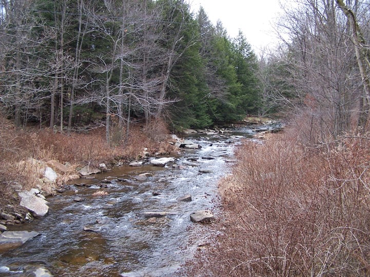Pack Saddle Bridge