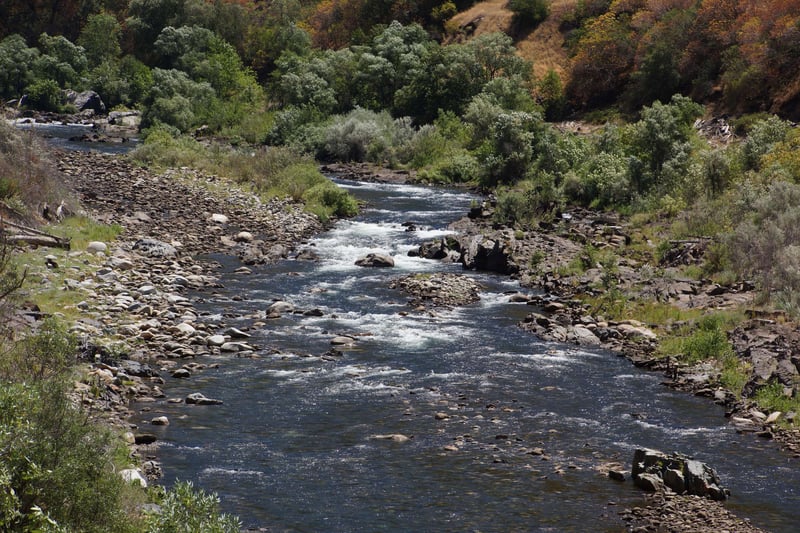 Rapid upstream of old Camp Nine bridge