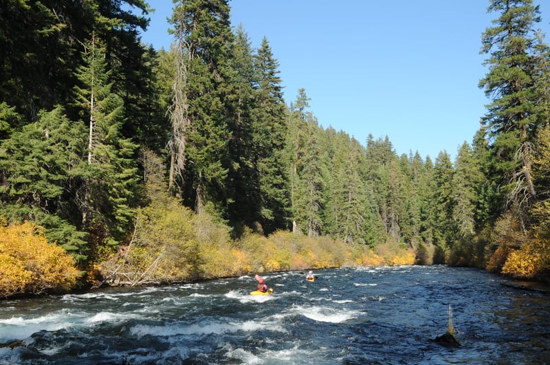 Metolius River rapids