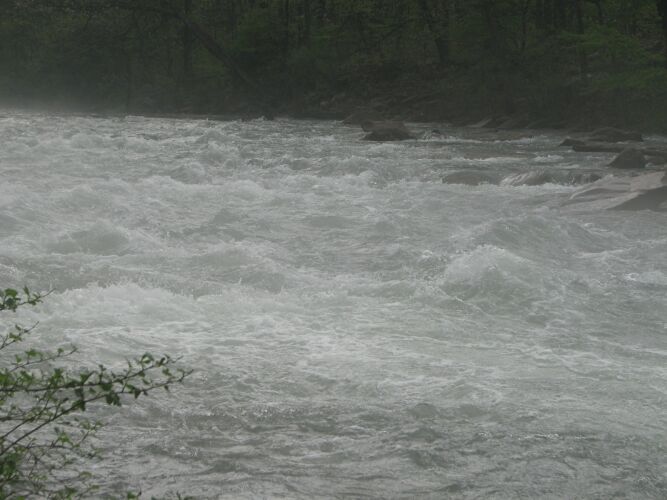 North Branch Potomac - Whitewater Release