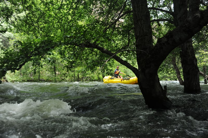 Rafting Through the Forest