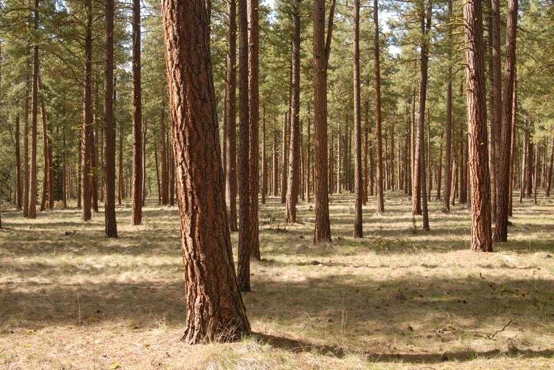Keno Recreation Area