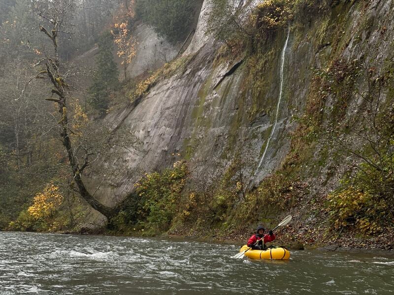  on Canyon River (Satsop trib.) @FR 2260 to Cougar Smith Rd.