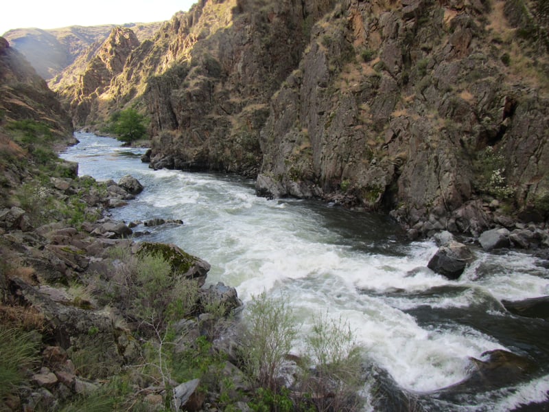 rapids for the last 4 miles