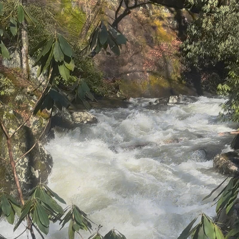 Rapid Below BeeGum confluence   