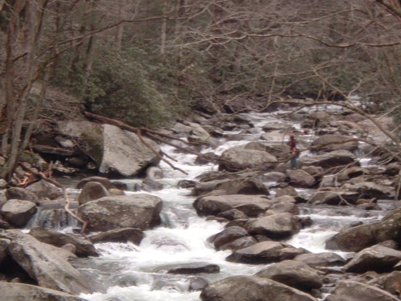 West Prong - Put-in bridge looking upstream