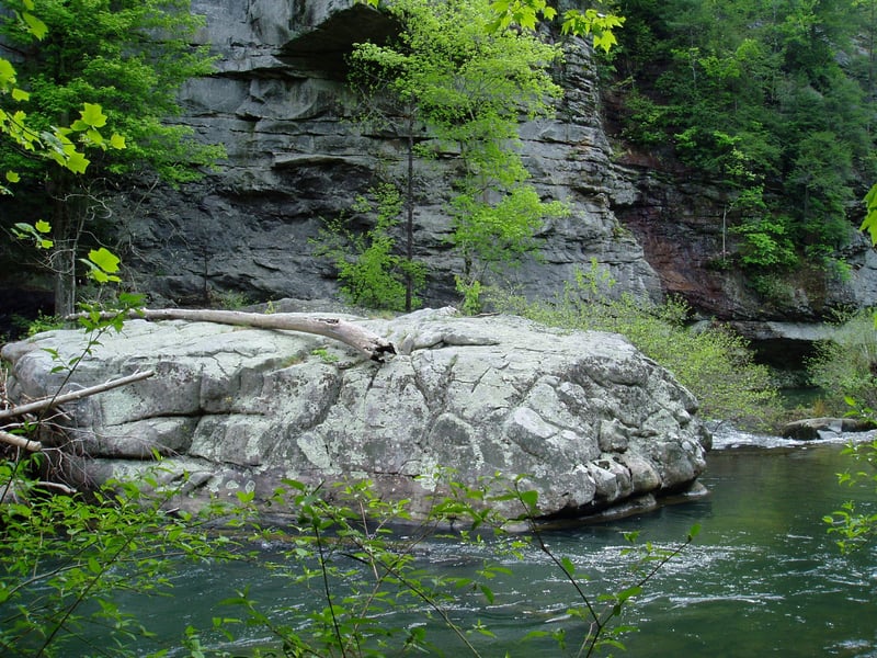Scenery