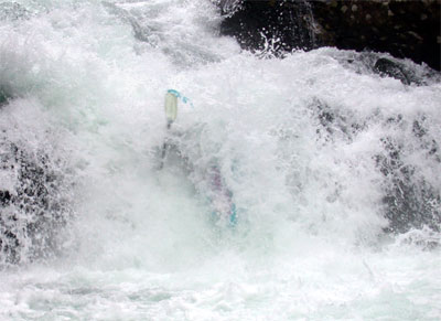Alex in Dead Moose Falls