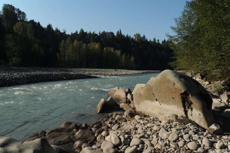 Shoreline at Maple Creek Access Site