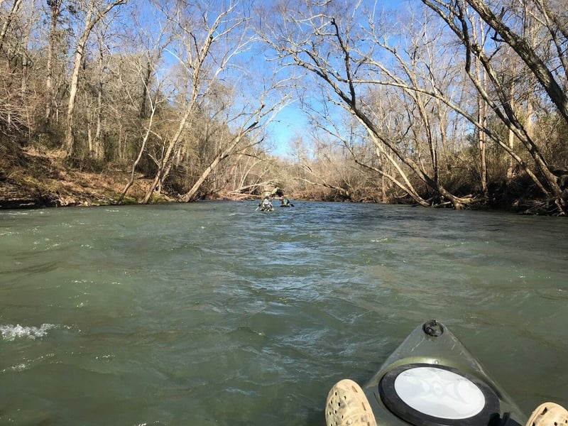 Cadron Creek @3) Cove Creek Run: Highway 65 to Highway 285 (10 miles)