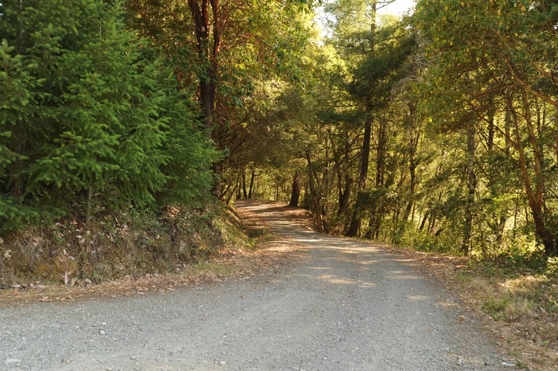 Green River Riffle River Access Road