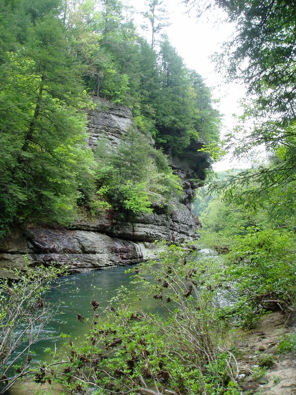 Another Bluff
