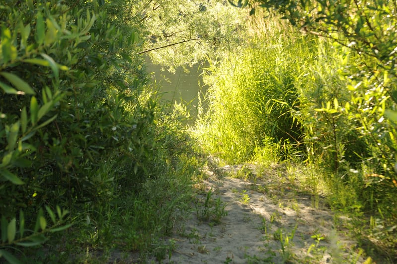 Upper Access at Ullathorne