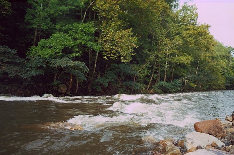 Downstream of Walland