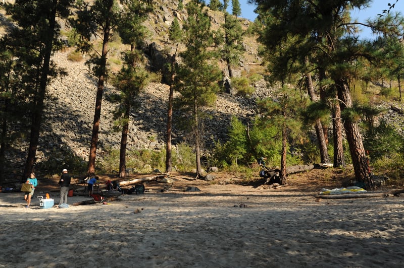 Reed Creek Camp