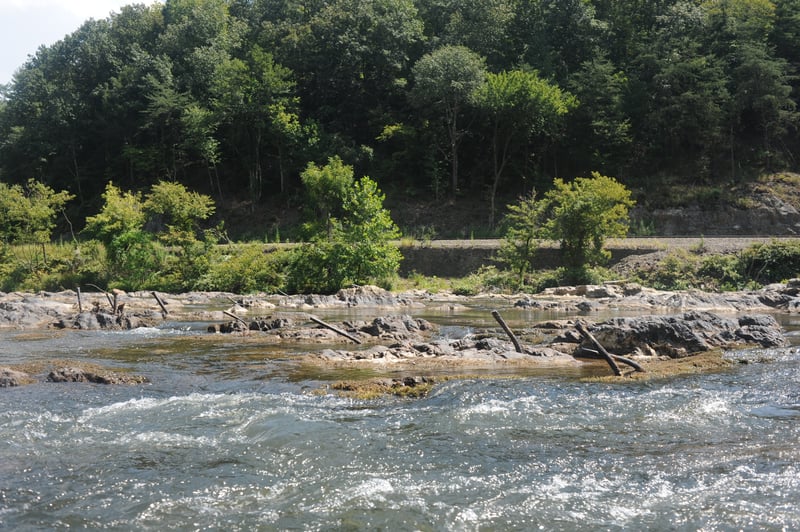 Looking Across the River Right at Rebar