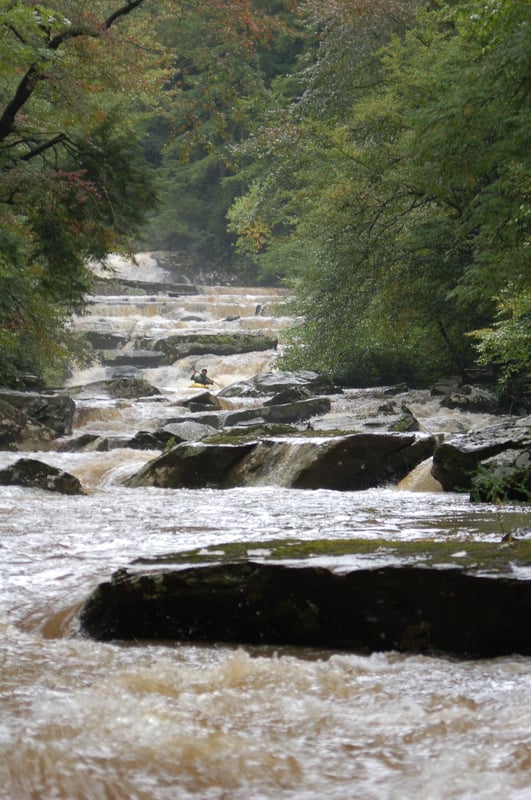 Coker Creek 