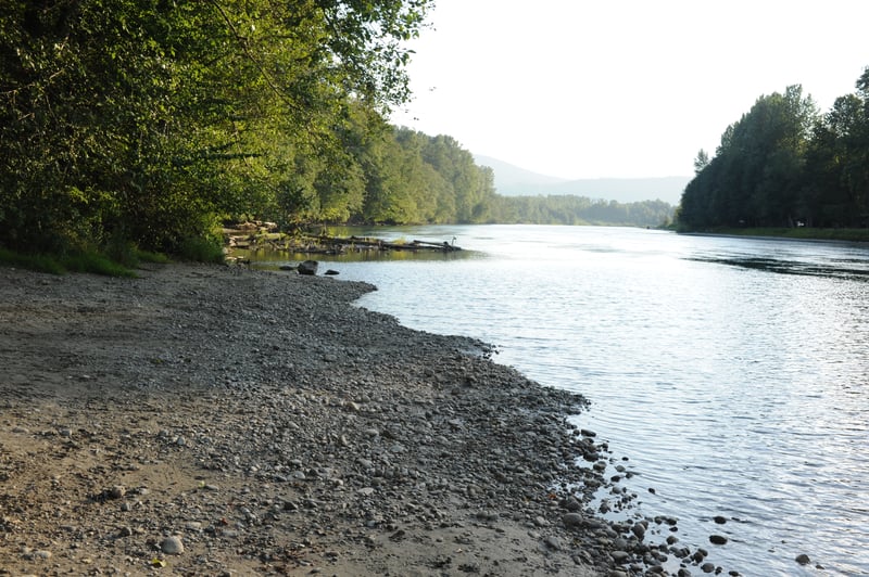 Looking Downstream from Highway 530 Bridge Access