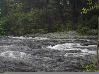 Collinsville Section of the Farmington