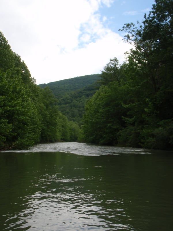 Dunlap Creek