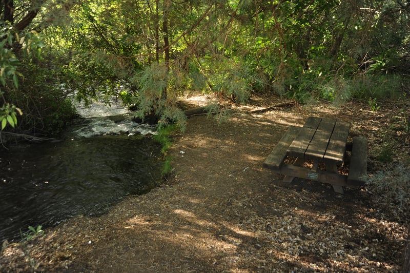 Picnic Table Adjacent to Fall Creek