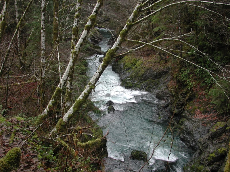 Fools Canyon