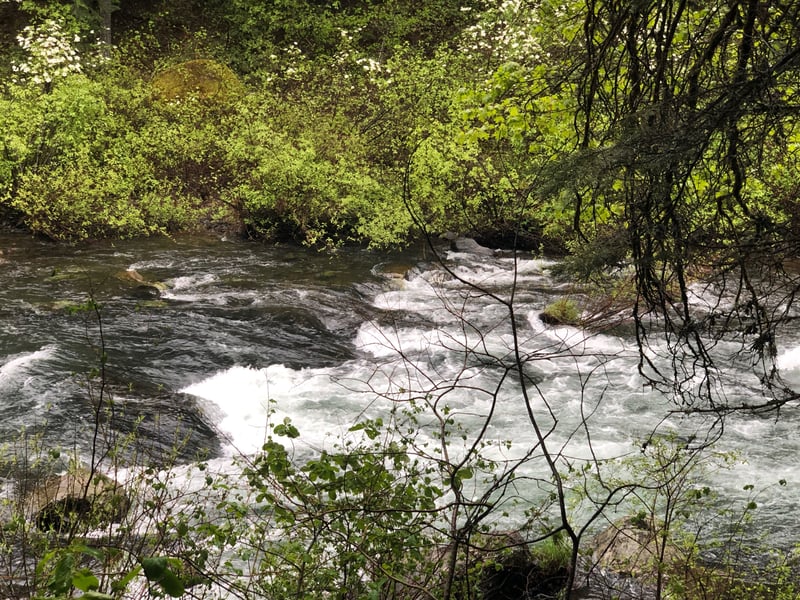 McCloud @Fowler Camp to McCloud Reservoir