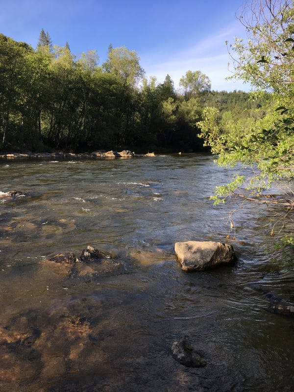  on Bear River @Highway 174 Bridge to Lake Combie