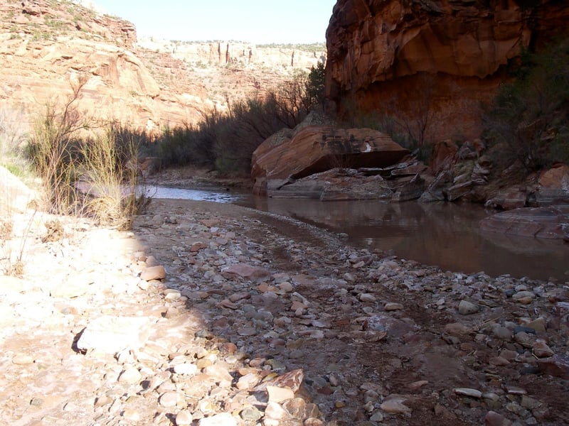 Dolores River Canyon